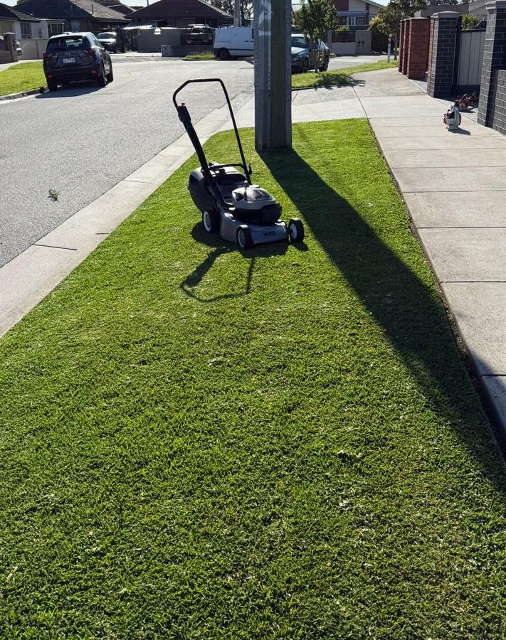Freshly mowed lawn