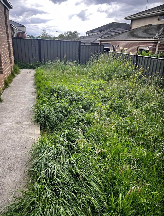 Garden maintenance