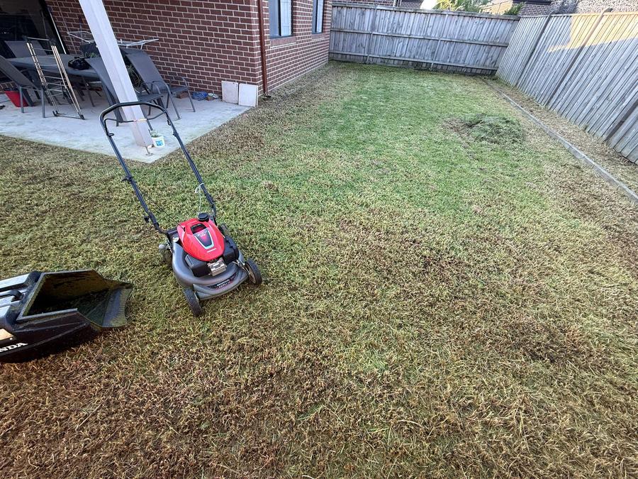Overgrown lawn clean-up