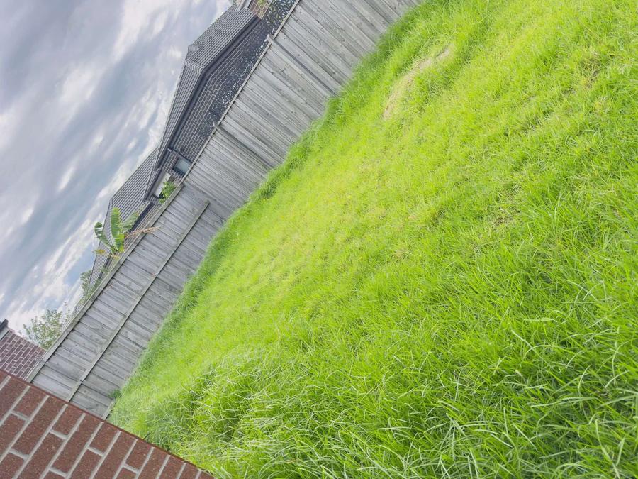 Hedge trimming