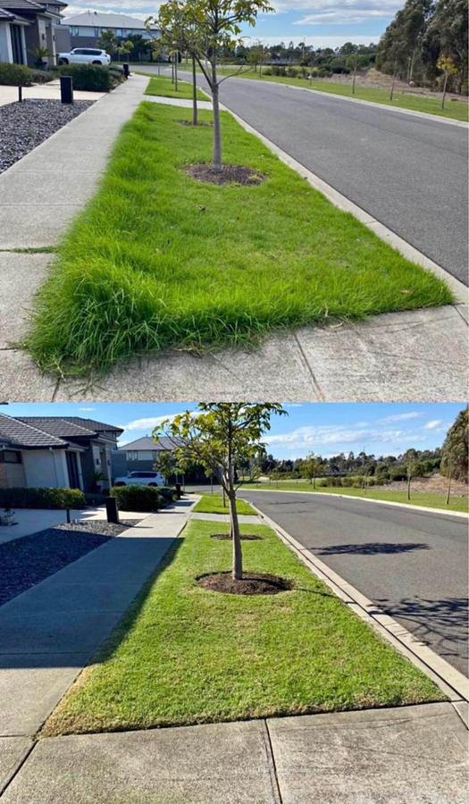 Lawn and garden care
